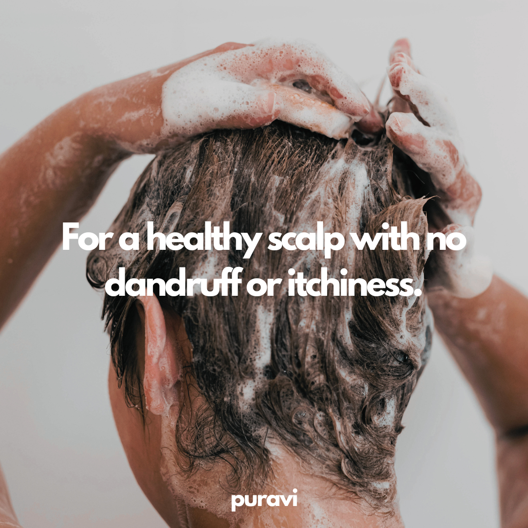 Puravi Filtered Showerhead