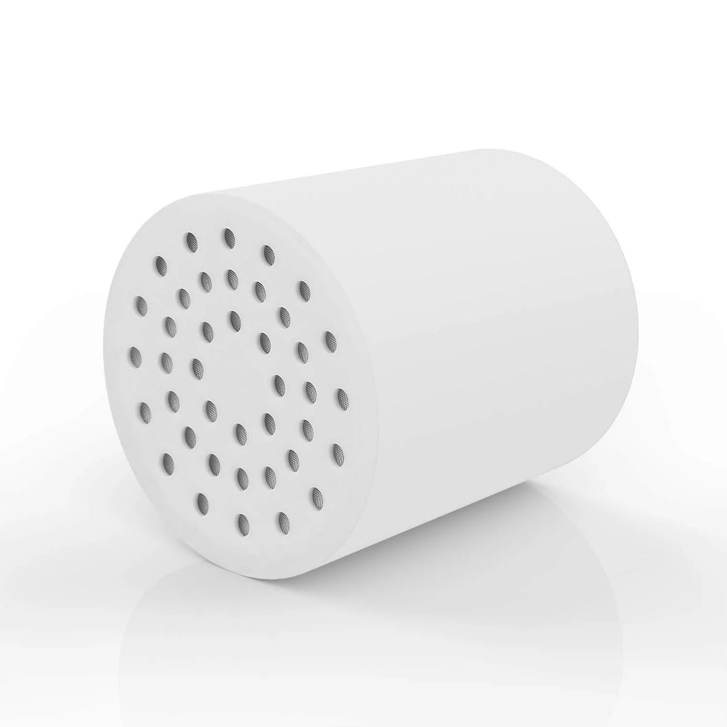 Filter Puravi Filtered Showerhead