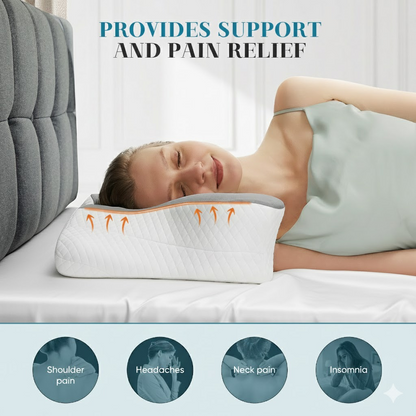 Puravi Premium Relief Pillow